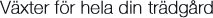Could not render image